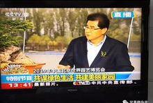 中央电视台91台直播,精彩纷呈，尽享视听盛宴